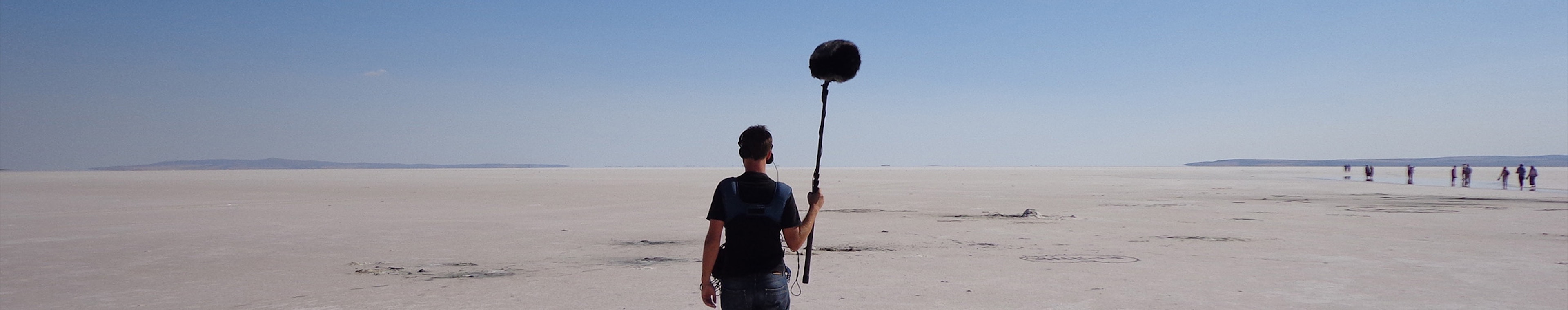 Animals in Nature - Parrots Chirp by Felix Blume