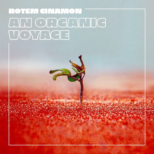 An Organic Voyage album cover