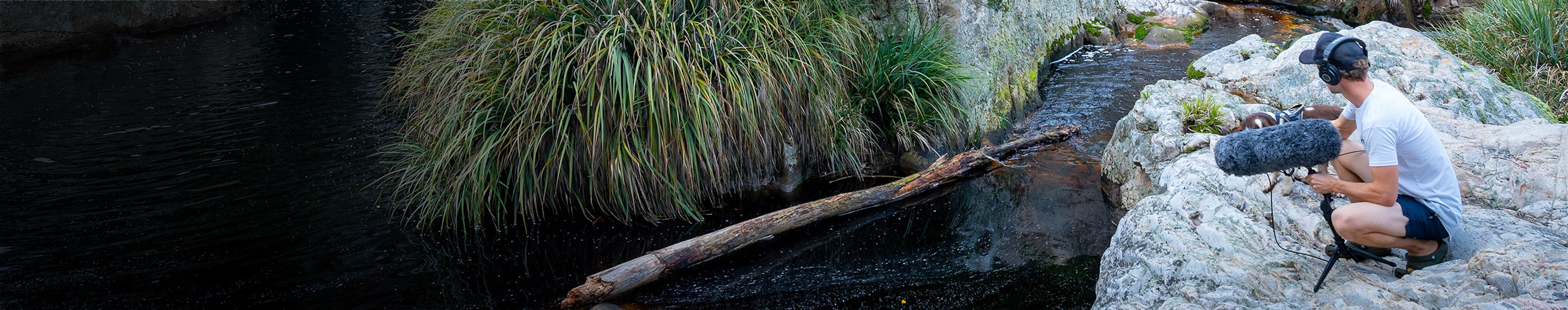 Cape Town Nature - Water Stream Under Bridge  by Jesse Gillis