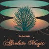 Absolute Magic album cover