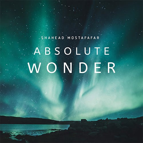 Absolute Wonder album cover