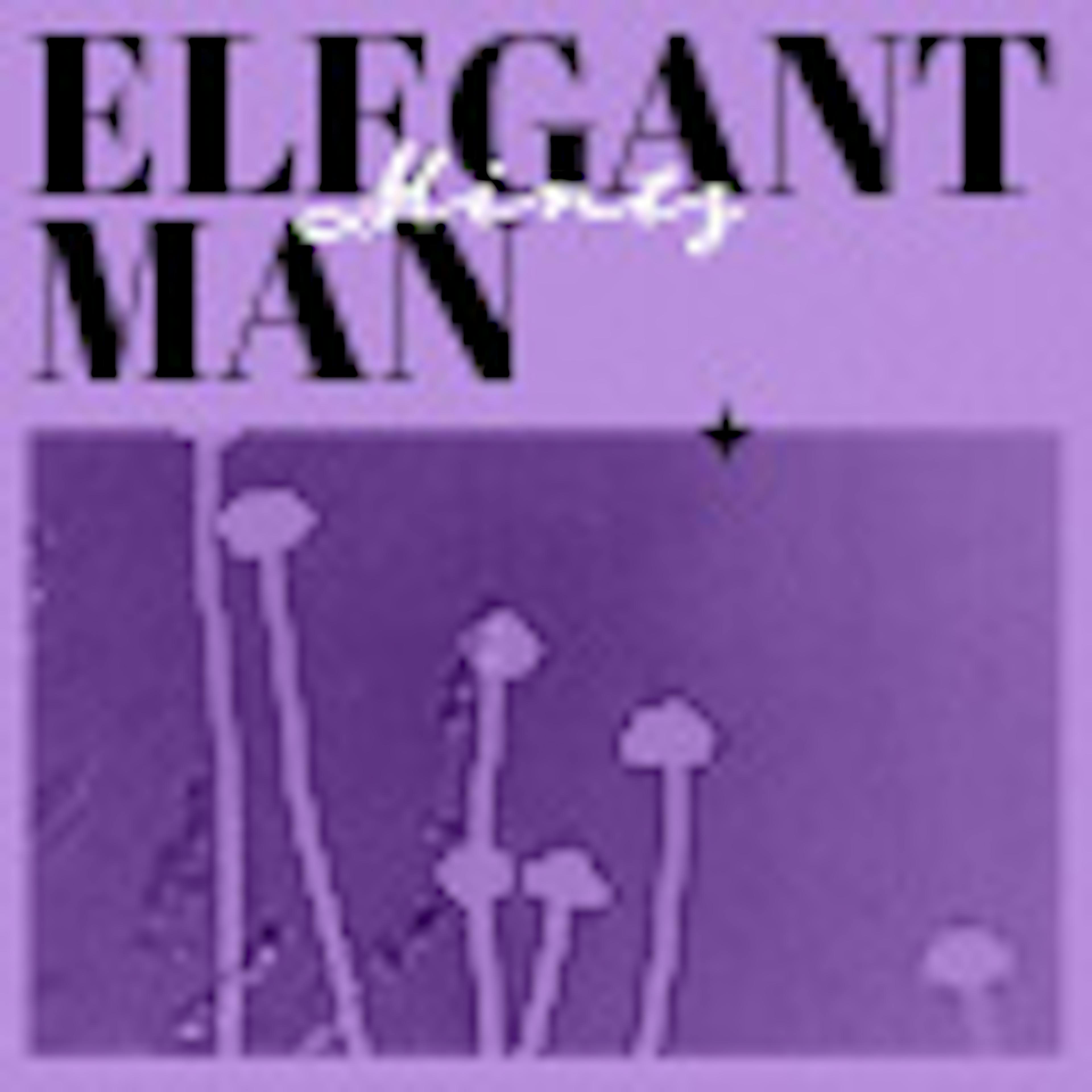 Elegant Man album cover
