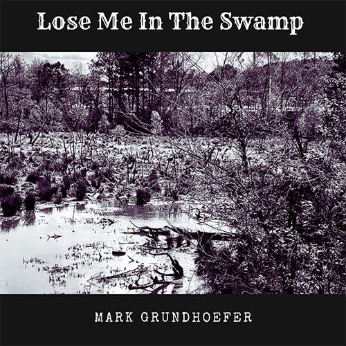 Lose Me in the Swamp album cover