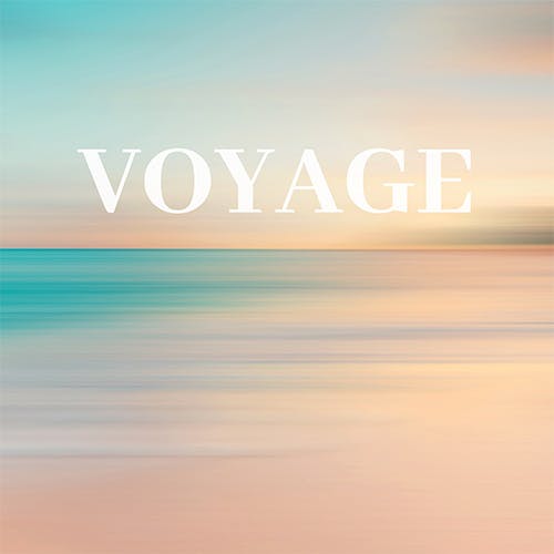 Voyage album cover