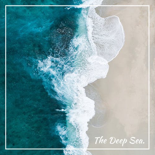 The Deep Sea album cover