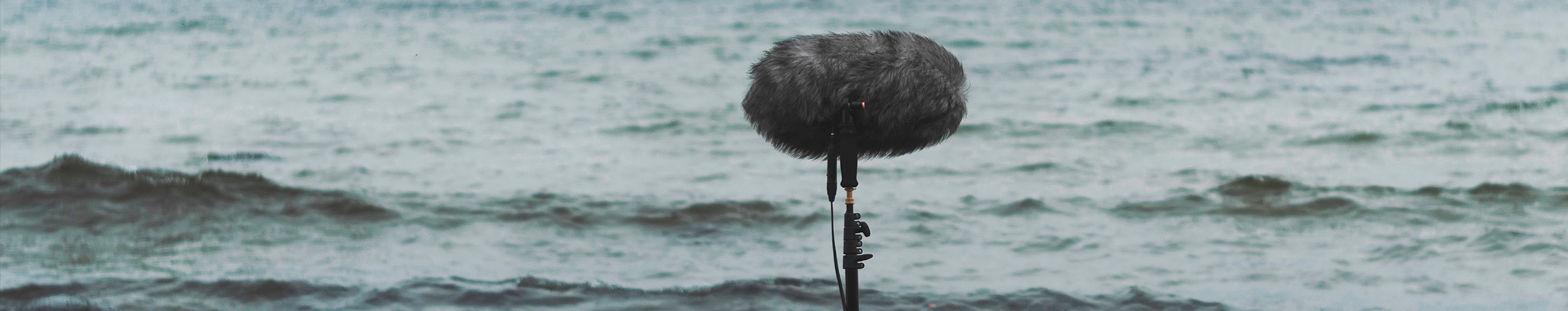 Creepy Creatures - Beast Breathing Strongly, Growling by Epic Stock Media