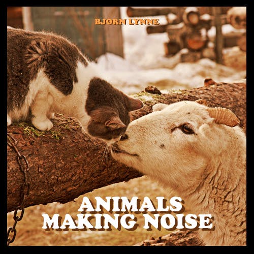 Animals Making Noise