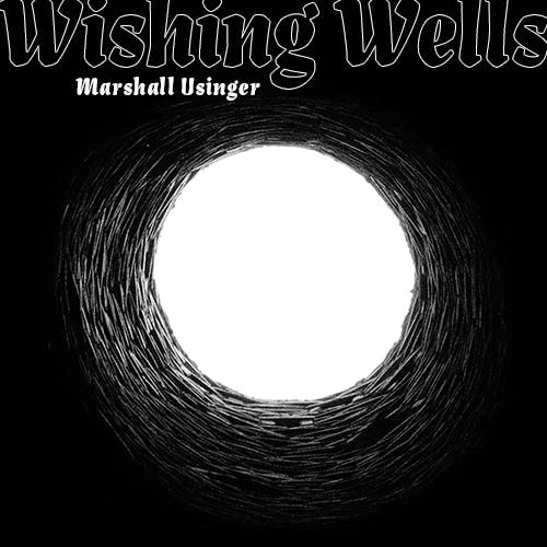 Wishing Wells album cover