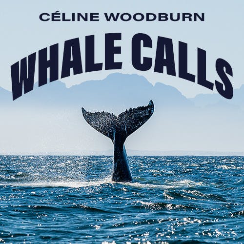 Whale Calls