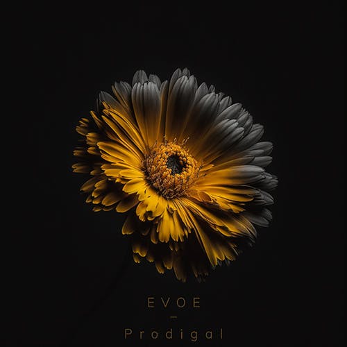 Prodigal album cover