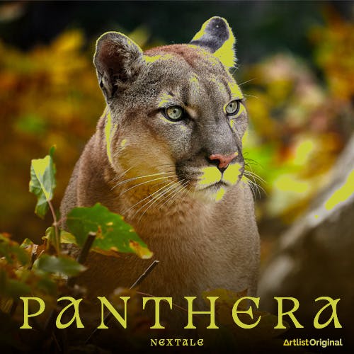 Panthera