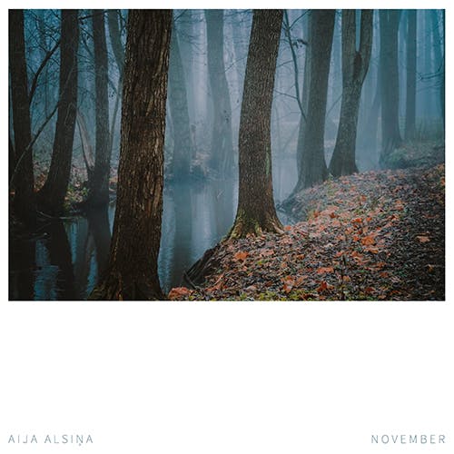 November album cover