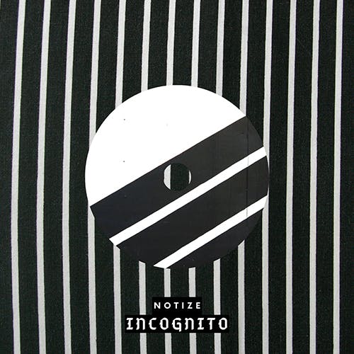 Incognito album cover