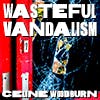 Wasteful Vandalism album cover