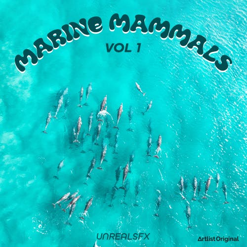 Marine Mammals Vol 1