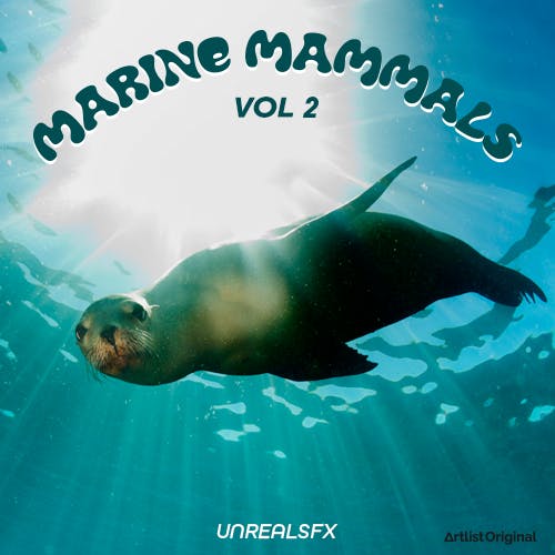 Marine Mammals Vol 2