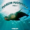 Marine Mammals Vol 2 album cover