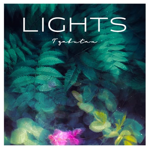 LIGHTS album cover