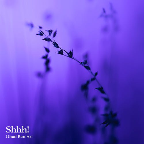 Shhh! album cover