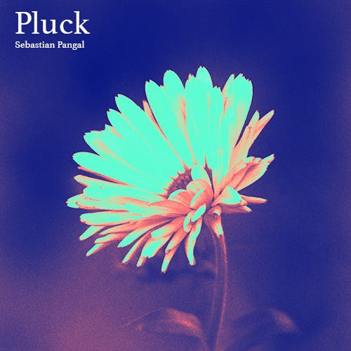 Pluck album cover