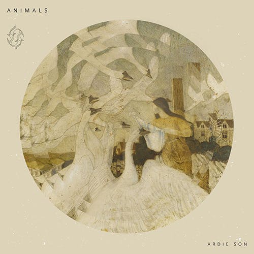 Animals album cover