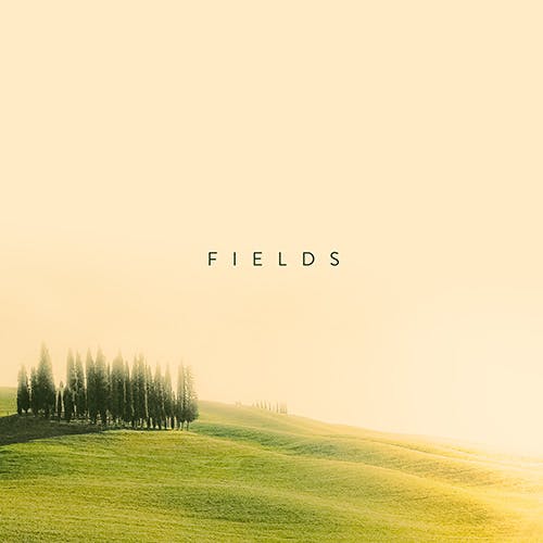 Fields album cover