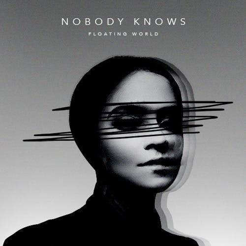Nobody Knows album cover