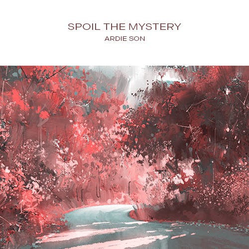 Spoil the Mystery album cover