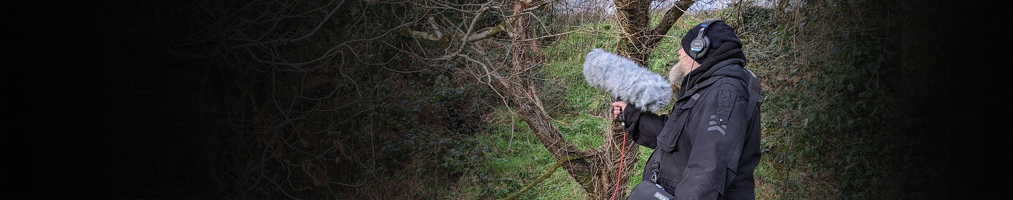 Toy Collection - Wind up Toy by Effectsworks