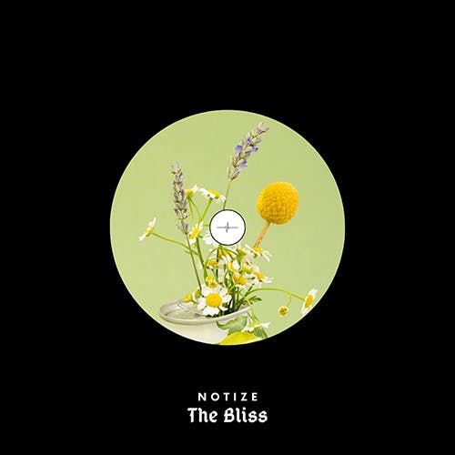 The Bliss album cover
