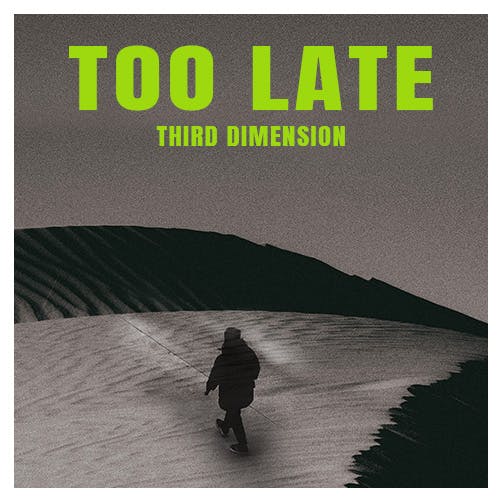Too Late album cover