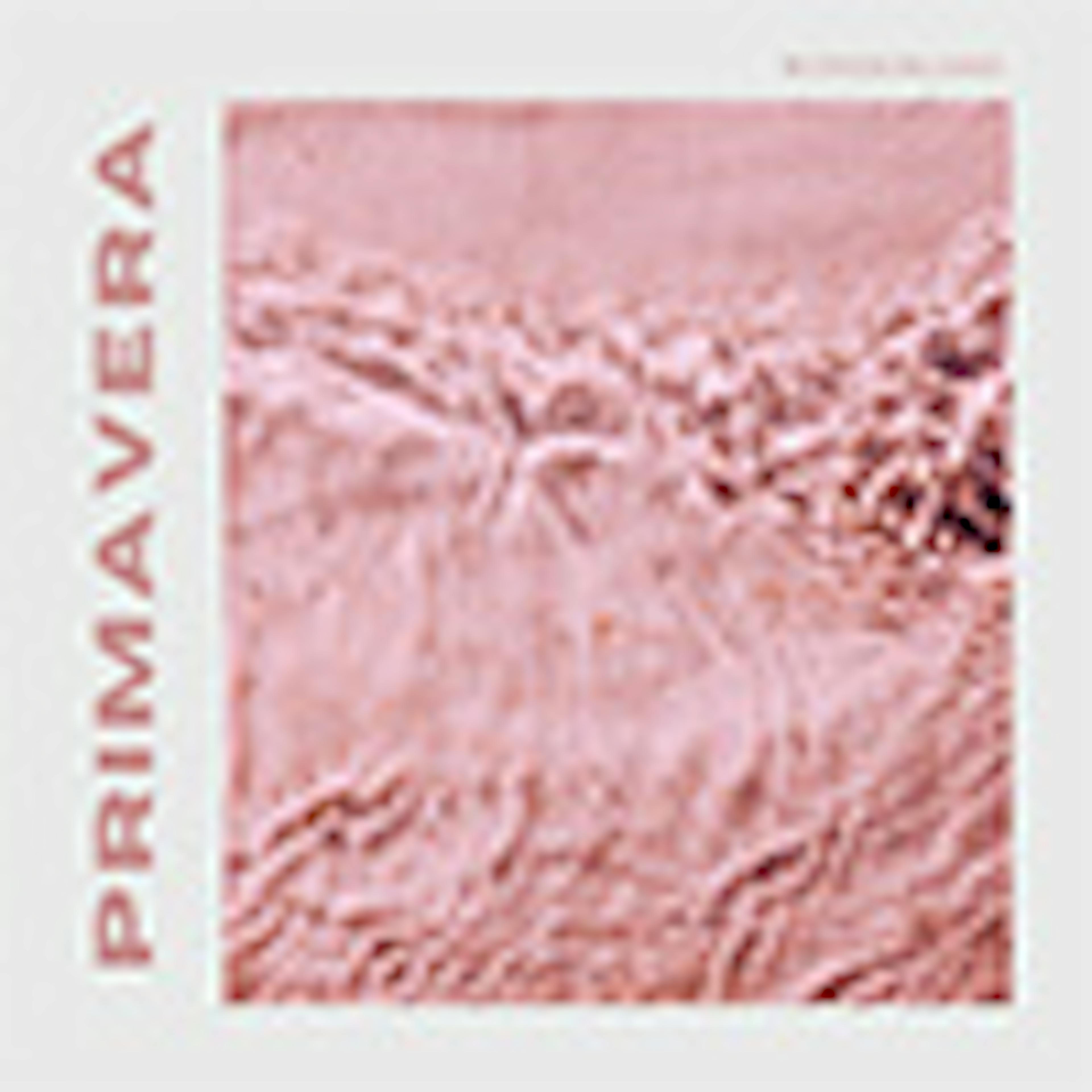 Prima Vera album cover