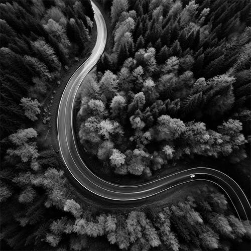 Into the Forest Vol 2