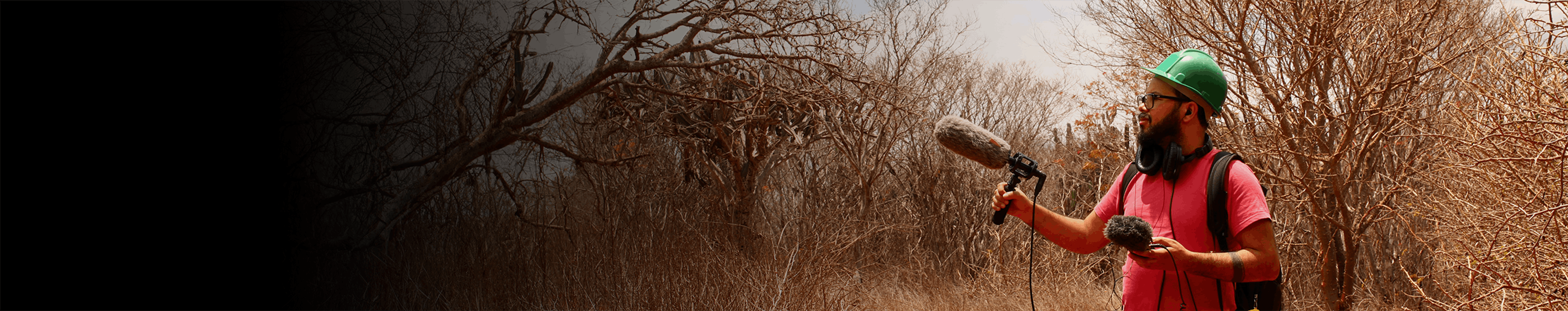 Swamp and Forest - Underwater Turmoil 02 by Rodrigo Ramos