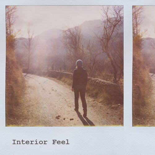 Interior Feel