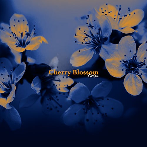 Cherry Blossom album cover