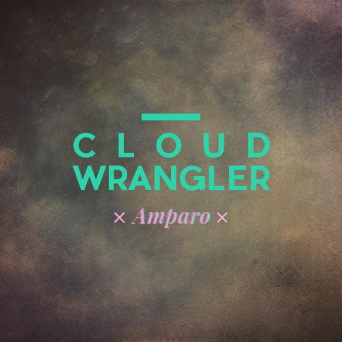 Cloud Wrangler album cover